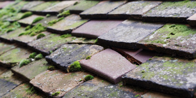 Steventon roof repair costs